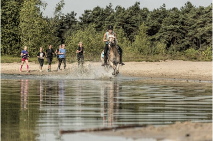  Overnachten met je paard in de Maashorst VMP102